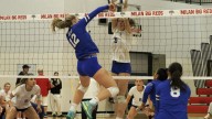 Ida, Whiteford, Mason, Monroe open state volleyball tourneys with wins