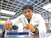 IPN crea electrodos con sargazo para limpiar aguas residuales de la industria textil