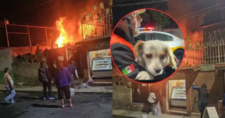 Incendio en predio de Iztapalapa deja 10 perros rescatados y 50 desalojados