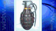 Grenades found in Mathews County shed: Sheriff