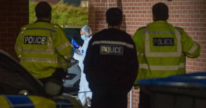 Further arrests made in North Ormesby 'attempted murder' probe