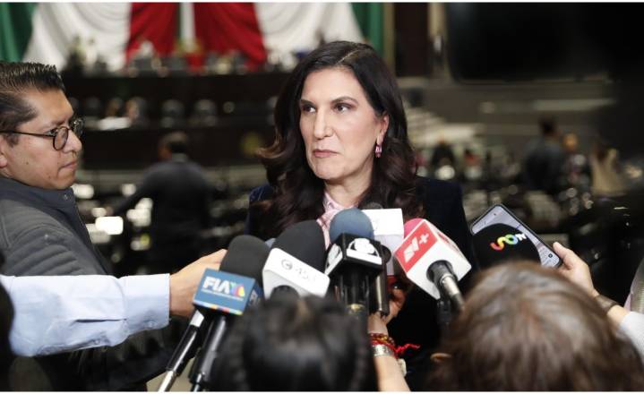 Cámara de Diputados solicitará detener queja contra consejeros del INE