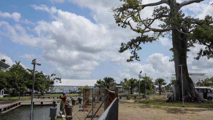 ¿Hay consuelo en el bosque?