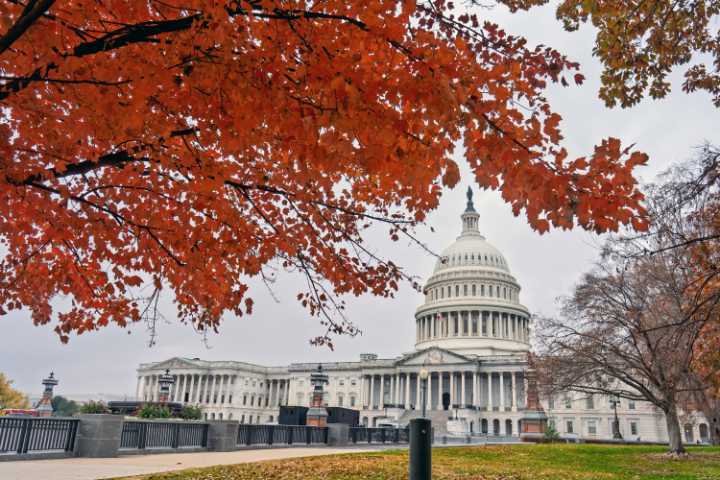 A RealClear Thanksgiving | RealClearPolitics