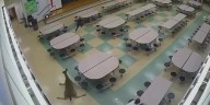 Deer crashes through window at Ohio middle school cafeteria