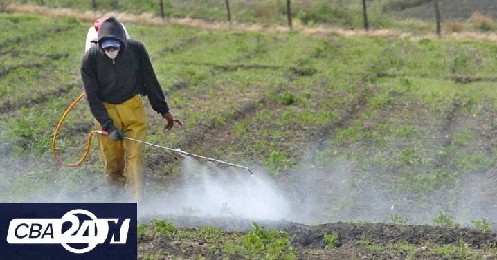 Córdoba: ordenan el cese de fumigaciones con agroquímicos en barrio Universitario de Horizonte III