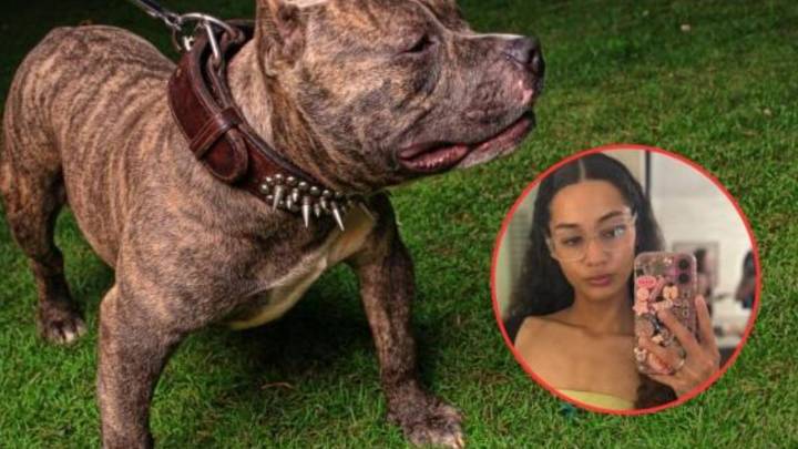 Trágico: una estudiante murió atacada por tres perros pitbulls que cuidaba en una casa