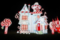 12 Family-Friendly Black Friday Events in Middle Tennessee 2025