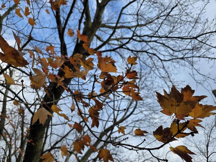 NJ weather: Big blustery cooldown and a few snowflakes this week