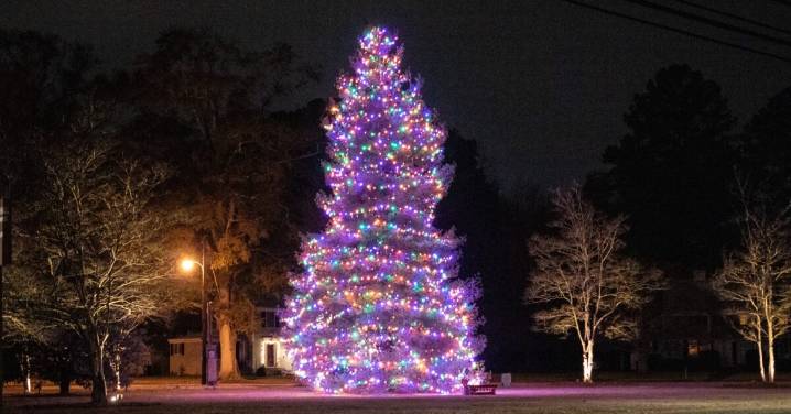 11 Christmas tree lightings to see in and around Birmingham