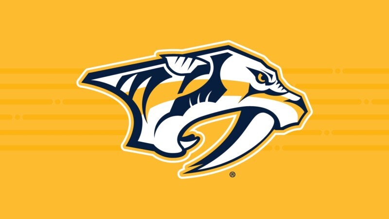 Predators Fall in Overtime Despite Comeback Effort