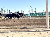 Turf Paradise begins 70th season with new vision, renewed hope