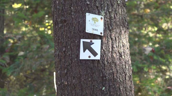 Maine Trails Program supports outdoor trail design and development in the state