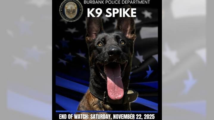 Police K-9 Spike dies after being shot in Burbank; Fleeing suspect also killed