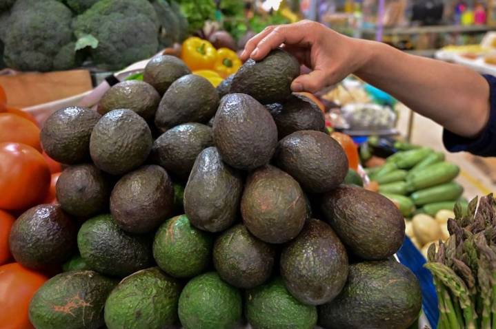 Trump elimina aranceles a productos agropecuarios, entre ellos al aguacate