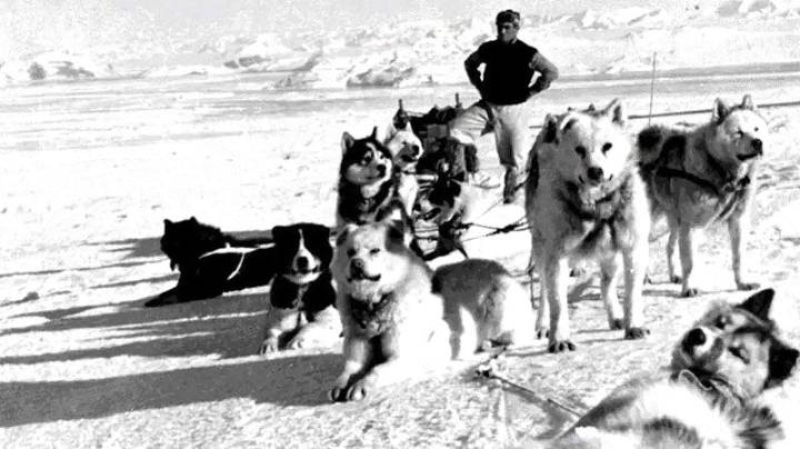Depredadores y héroes