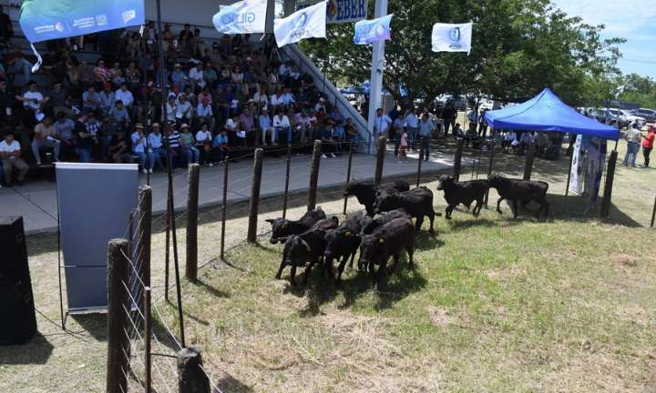 Se realizó la Feria Ganadera Paippera en Laguna Blanca