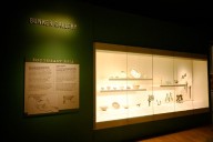 The U.S. was a leader in cultural heritage investigations. Now those agents are working immigration enforcement.