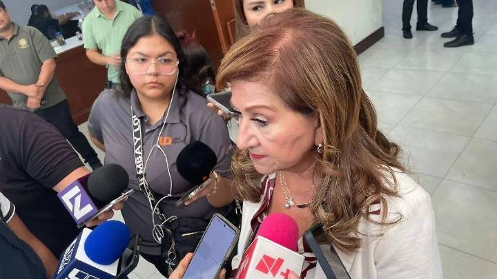 Hay algo de misoginia en la marcha de la generación Z: Tere Guerra