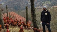 Hablan los criadores asturianos tras el confinamiento total del pitu caleya y la gallinas, ahora más "estresadas": "Hay que cumplir, pasará cuando termine la migración"