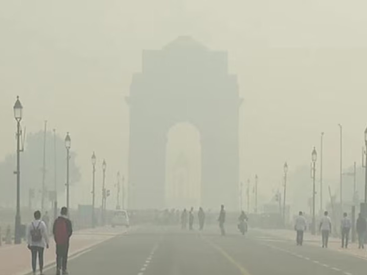 Breathe easy: Green escapes to beat the November smog in Delhi