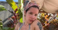 Halsey Posing in Bikini Deserves Second Glance