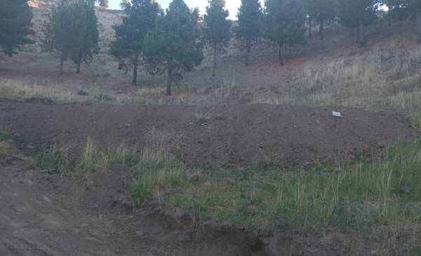 Desalojaron una ocupación ilegal en el camino al Cerro La Cruz