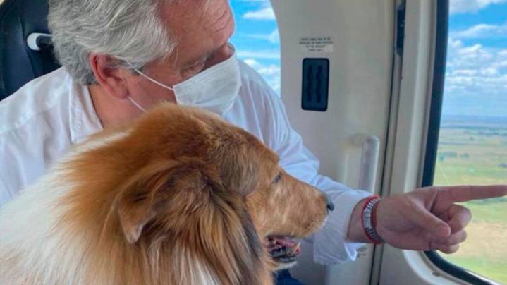 Los momentos más tiernos y divertidos de Dylan, el perro de Alberto Fernández