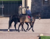 Andrew is seen horse riding amid accusations he is ‘hiding’ from Epstein questions
