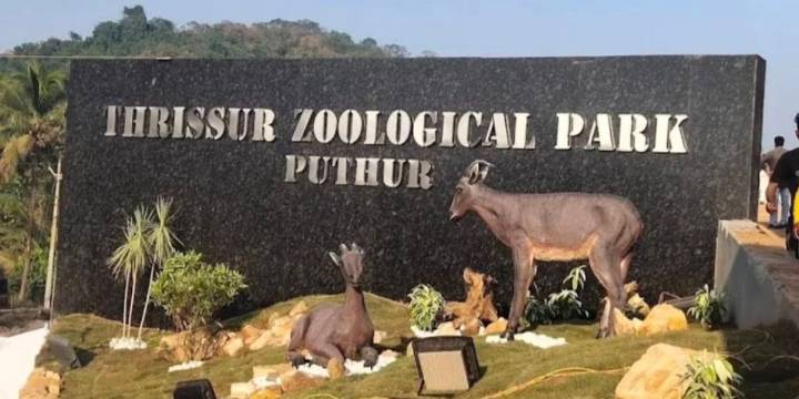 Ten spotted deer found dead at newly inaugurated Puthur Zoological Park in Thrissur; stray dog attack suspected