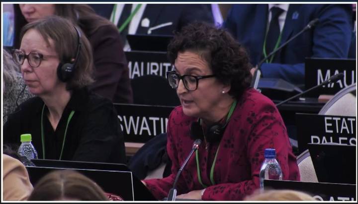 Cuba reafirma defensa de los derechos del pueblo palestino (+Foto)