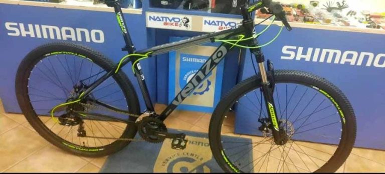 Robaron una bicicleta en una vivienda de la zona del Balneario Municipal y crece la preocupación por la inseguridad en Villa de Merlo