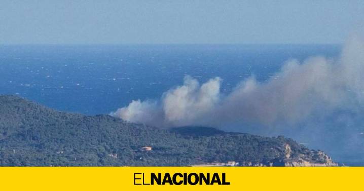 Estabilizado el incendio forestal de Palamós que ha obligado a confinar una urbanización