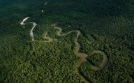 Colombia declara toda su Amazonia como zona libre de hidrocarburos y marca un hito mundial