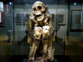 París exhibe al icónico “hombre de Chachapoyas” en muestra internacional