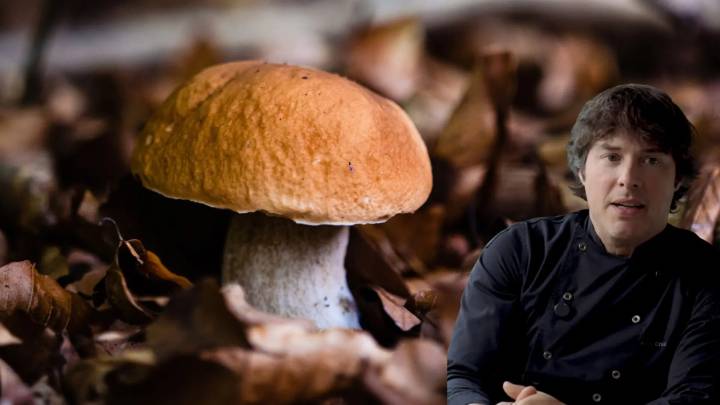 El truco de Jordi Cruz para detectar si una seta boletus es fresca: "Como de gimnasio"