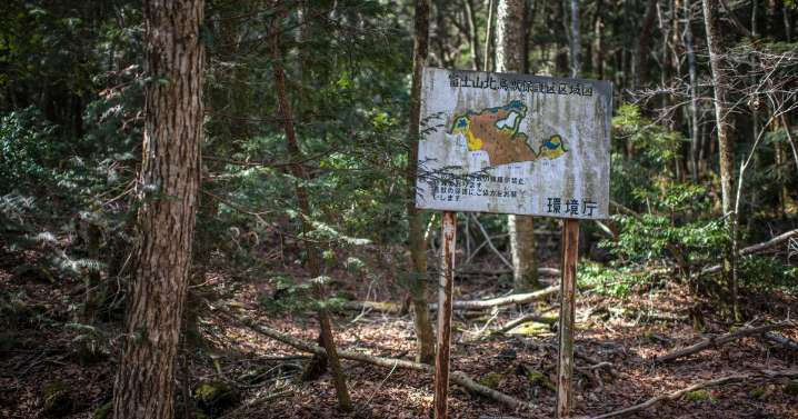 Horror as tourist drinks alcoholic offering to deceased in Japan's 'suicide forest'
