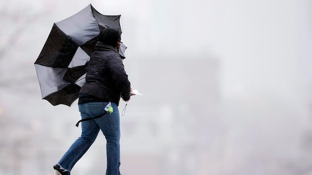 Wind gusts up to 70 km/h expected in Hamilton, Burlington on Sunday