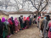 Nagrota Leads in Voter Turnout, Budgam Sees Steady Polling