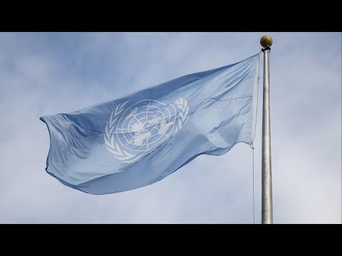 U.N. Security Council adopts U.S. resolution on Gaza plan