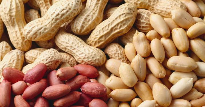 Maní: un aliado para reducir el colesterol y proteger el corazón