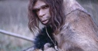 Neanderthals dabbled in a little 'light' cannibalism by eating outsiders