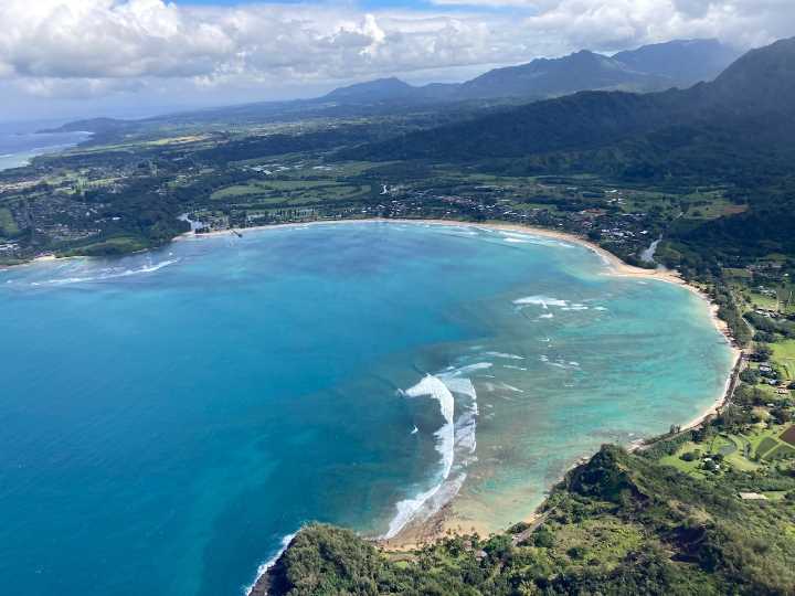 Surfer mauled by shark near world-famous vacation spot