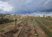 Egemasa reforesta La Pitilla para proteger su biodiversidad tras los incendios del verano