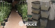 Inside huge £230k cannabis farm police found at a Warwickshire industrial unit