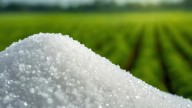 Govt brings Ammonium Sulphate under subsidy, pitches it as urea alternative