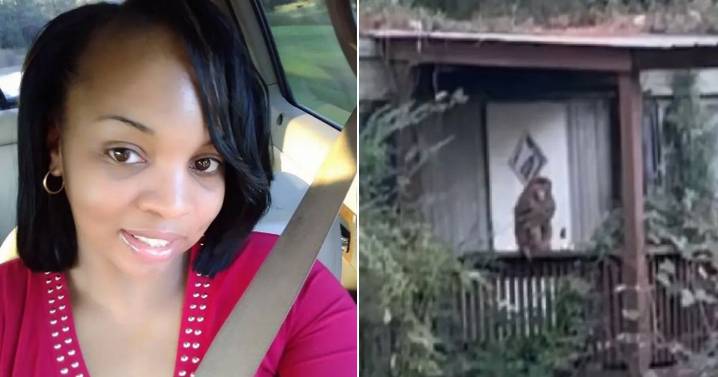 Mum blows away escaped monkey after truck crash unleashes troop of terror