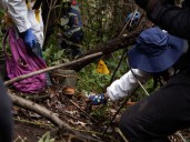 Análisis revela patrón de desapariciones forzadas en el Ajusco