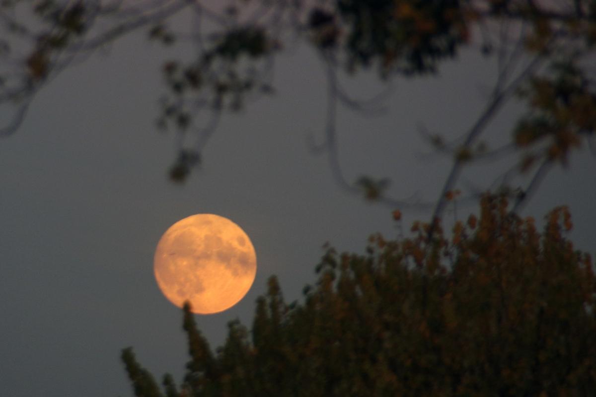 The Stunning Supermoon Brings Autumn’s Beauty To Life