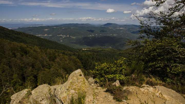 Alerta amarilla en todo el norte de Cataluña este miércoles por fuertes rachas de viento